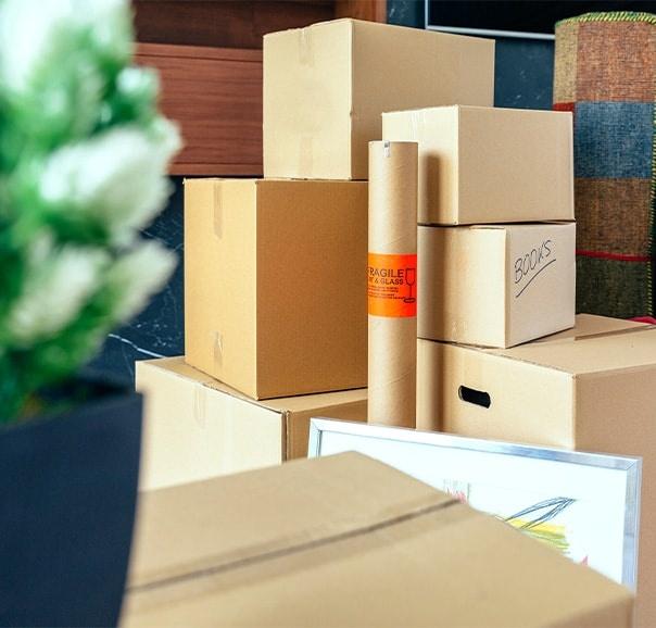 stacked-moving-boxes-and-plant