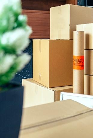 stacked-moving-boxes-and-plant